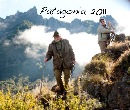 Patagonia 2011 book cover