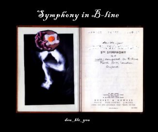 Symphony in B-line book cover
