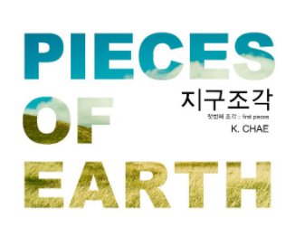 Pieces Of Earth book cover