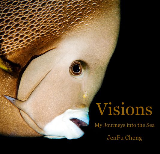 Visions nach JenFu Cheng anzeigen