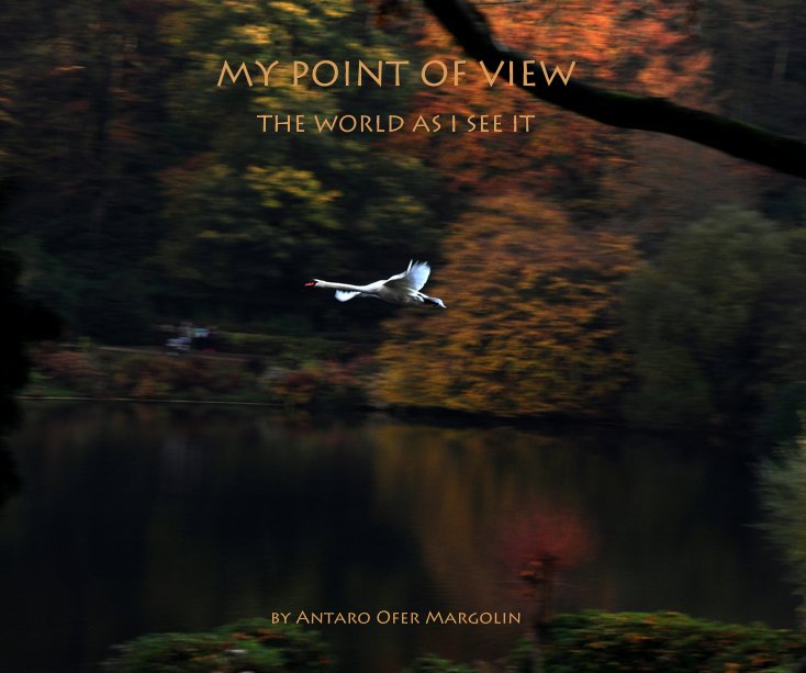 View MY POINT OF VIEW by Antaro Ofer Margolin