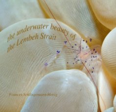 the underwater beauty of the lembeh strait book cover