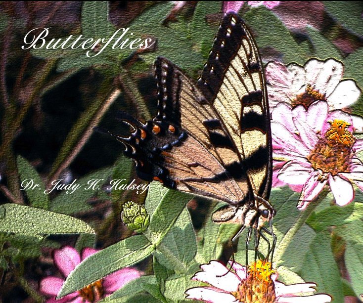 Ver Butterflies por Dr. Judy H. Hulsey