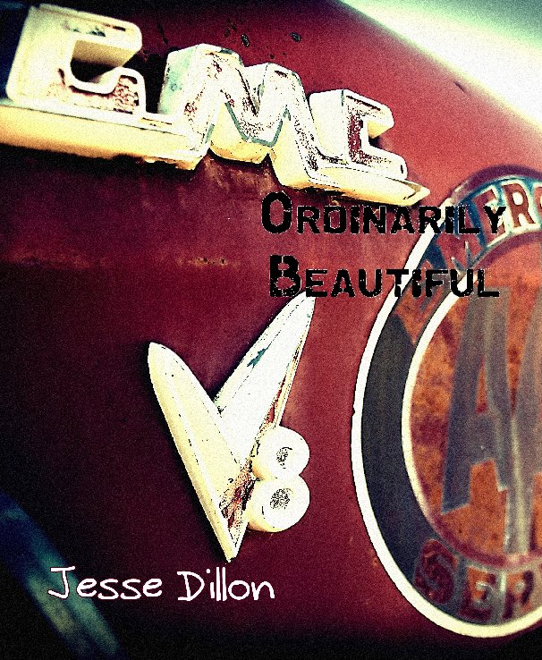 View Ordinarily Beautiful by Jesse Dillon