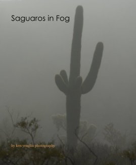 Saguaros in Fog book cover