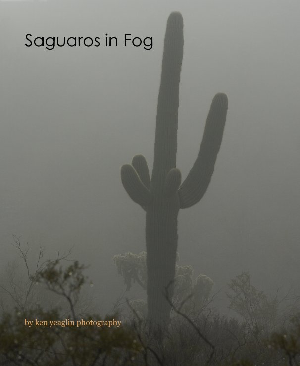 View Saguaros in Fog by ken yeaglin photography