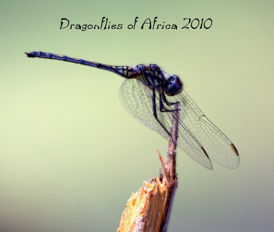 Dragonflies of Africa 2010 nach Robert DeMarco anzeigen