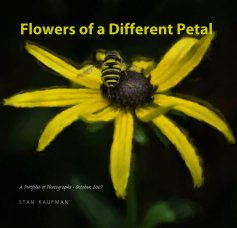 Flowers of a Different Petal book cover