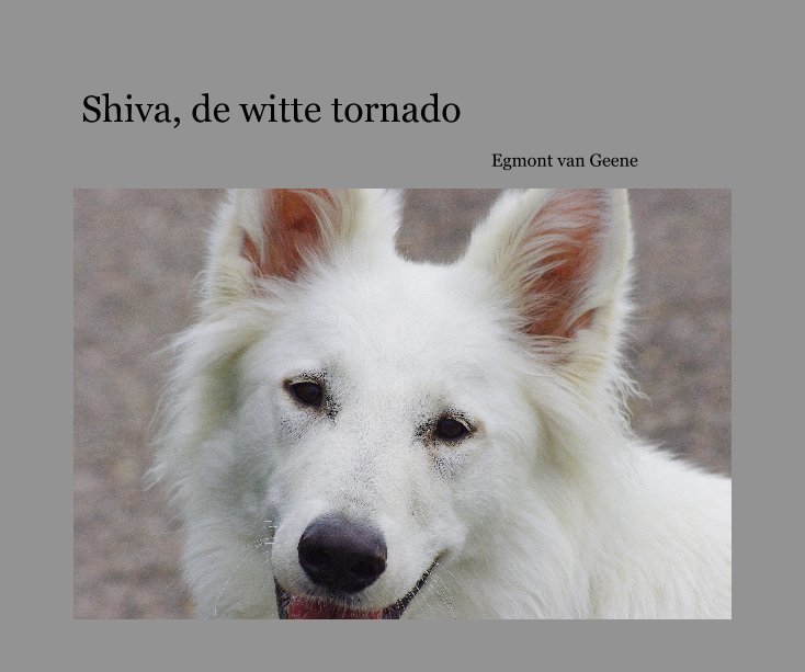 Ver Shiva, de witte tornado por Egmont van Geene