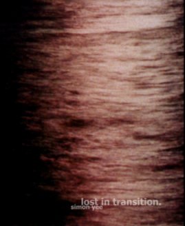 Lost in Transition book cover