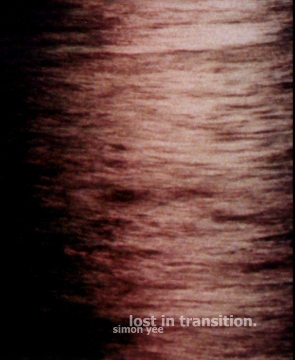 View Lost in Transition by Simon Yee