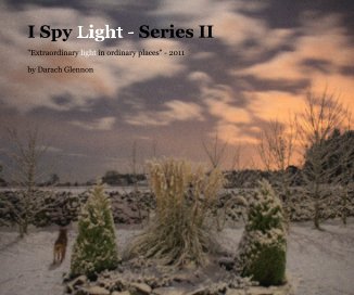 I Spy Light - Series II book cover