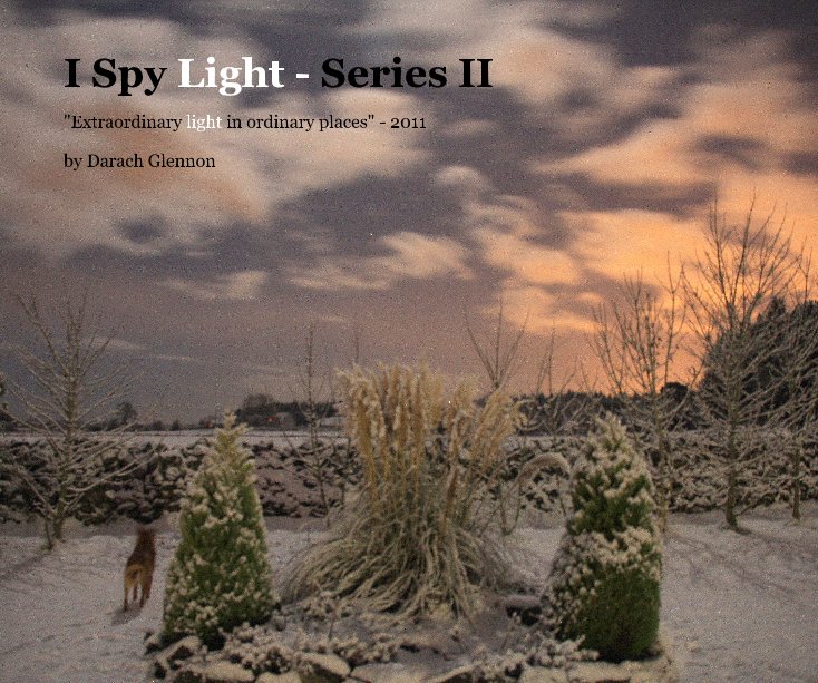 View I Spy Light - Series II by Darach Glennon