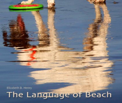 The Language of Beach book cover