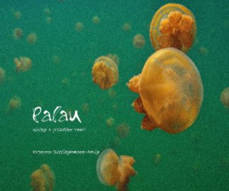Palau book cover