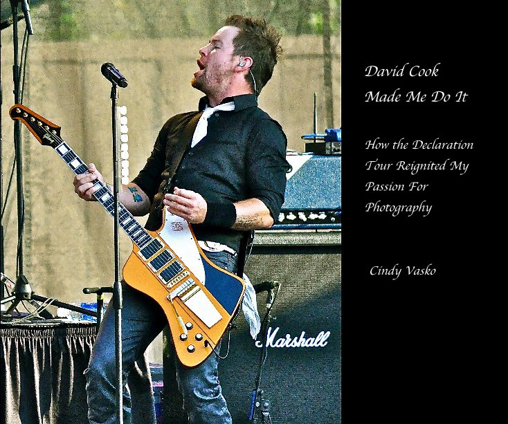 View David Cook Made Me Do It by Cindy Vasko