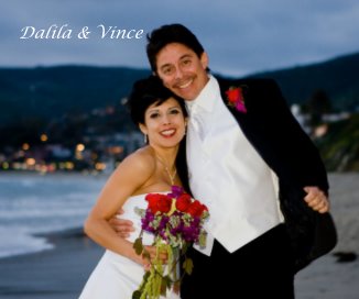 Dalila & Vince book cover