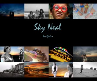 Sky Neal book cover