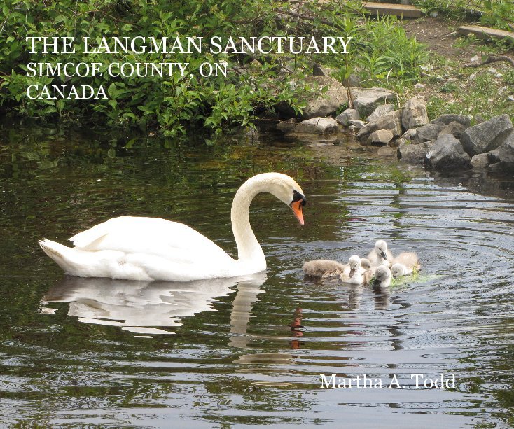 View THE LANGMAN SANCTUARY SIMCOE COUNTY, ON CANADA Martha A. Todd by Martha A. Todd