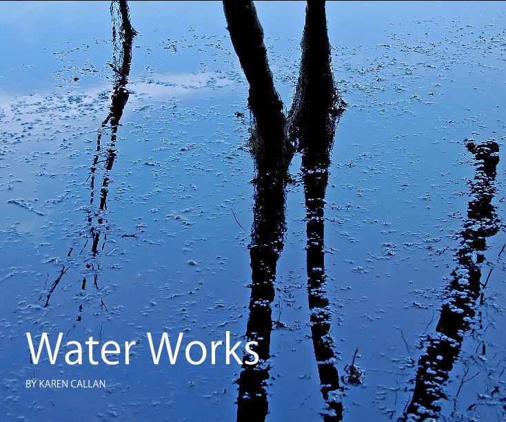 View Water Works by Karen Callan