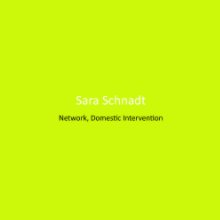 Sara Schnadt: Network, Domestic Intervention book cover