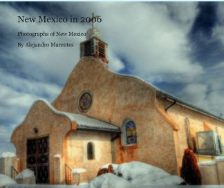 New Mexico in 2006 book cover