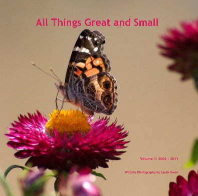 All Things Great and Small book cover