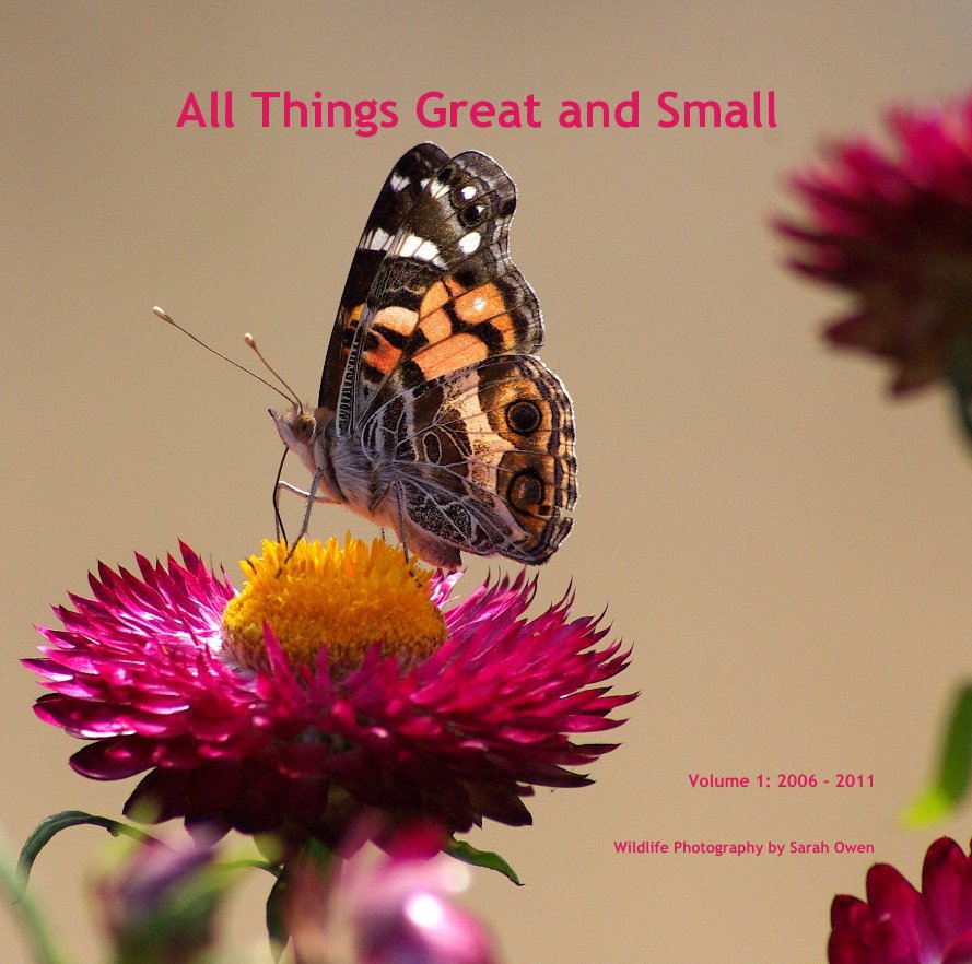 All Things Great and Small nach Sarah Owen anzeigen