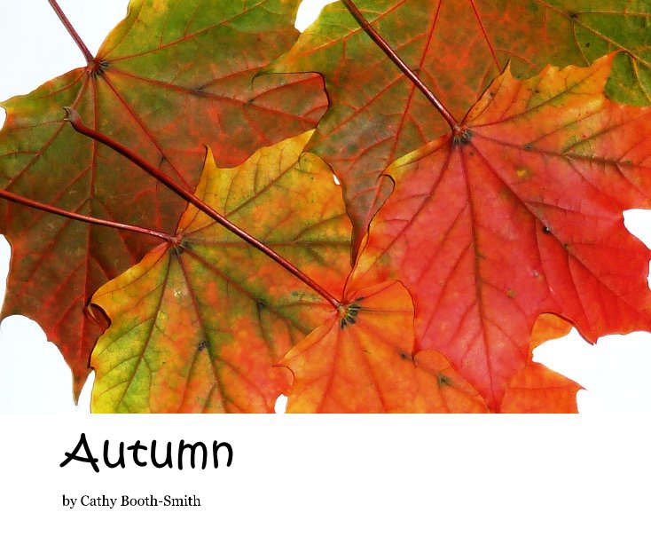 View Autumn by Cathy Booth-Smith