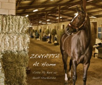 ZENYATTA At Home book cover