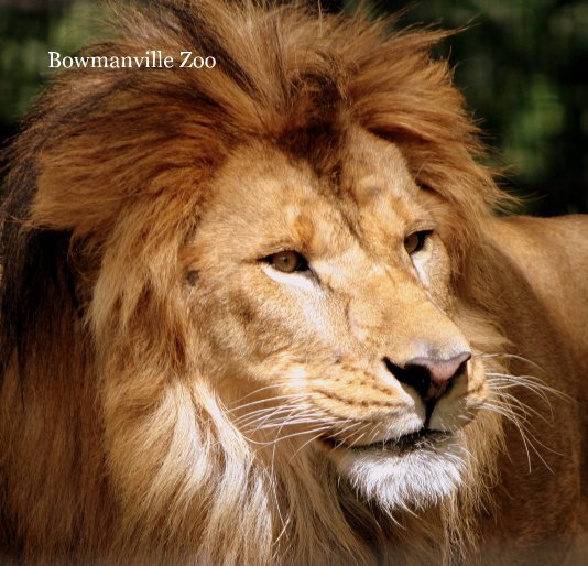 View Bowmanville Zoo by Cathy Booth-Smith