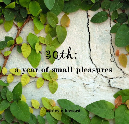 Ver 30th: a year of small pleasures por ashley e howard