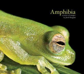 Amphibia book cover