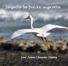 Suzette la petite aigrette book cover