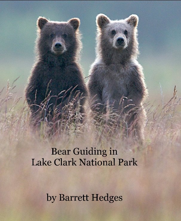 View Bear Guiding in Lake Clark National Park by Barrett Hedges