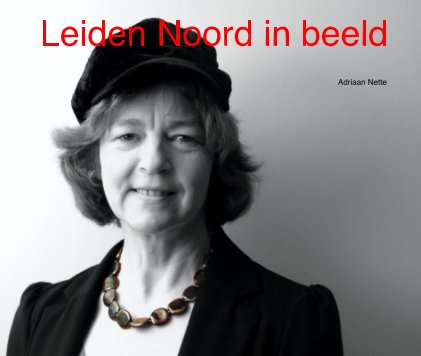 Leiden Noord in beeld book cover