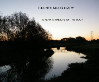 STAINES MOOR DIARY book cover