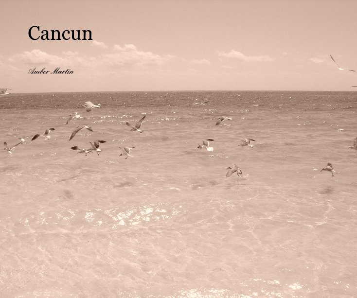 View Cancun by Amber Martin