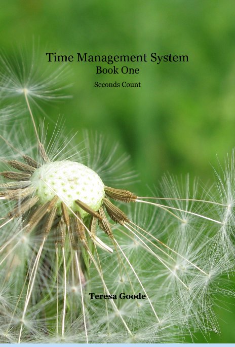 View Time Management System Book One Seconds Count by Teresa Goode