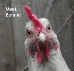 Meet Bonnie book cover