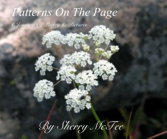 Patterns On The Page book cover