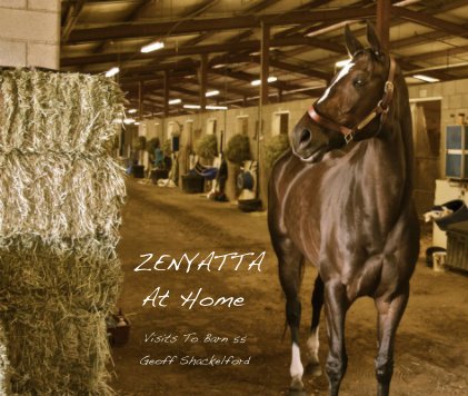ZENYATTA At Home book cover