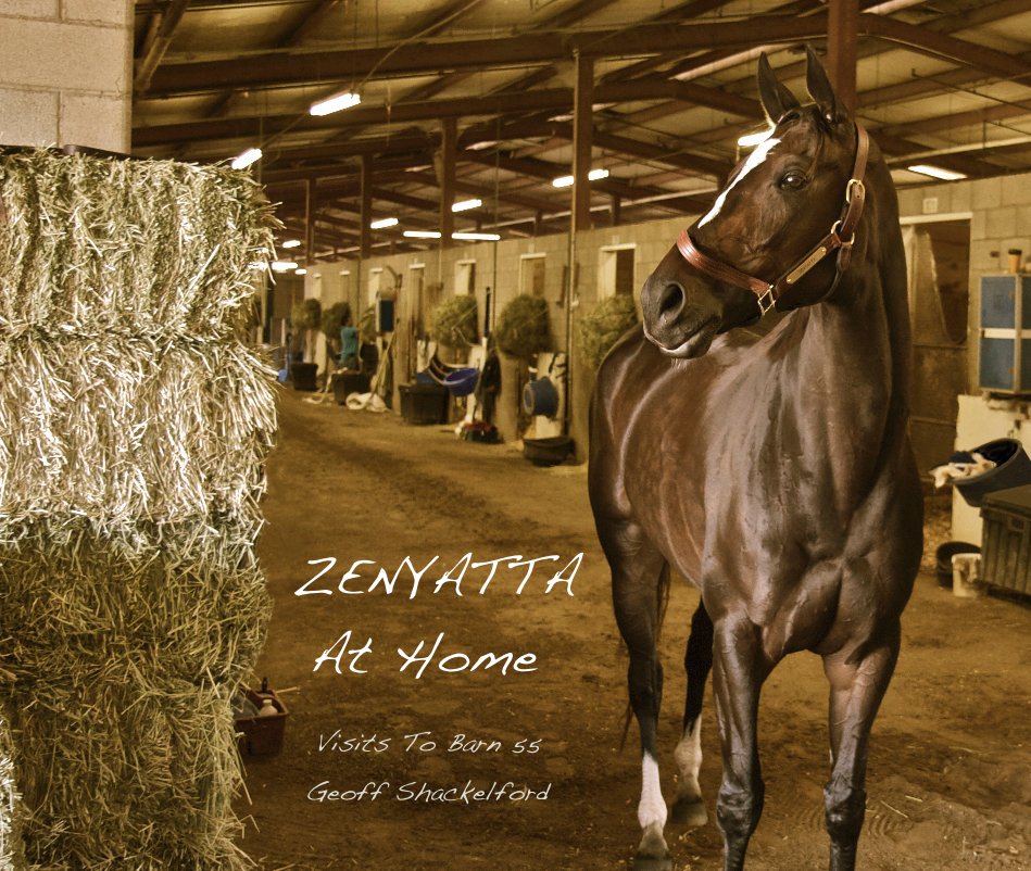View ZENYATTA At Home by Geoff Shackelford