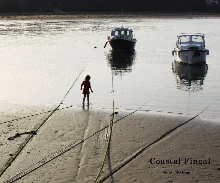 View Coastal Fingal by Sarah McGregor