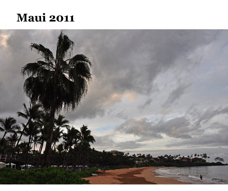 Maui 2011 nach Marilyn and Mike Martin anzeigen