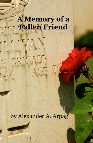 View A Memory of a Fallen Friend by Alexander A. Arpag