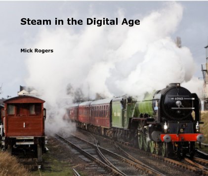 Steam in the Digital Age book cover