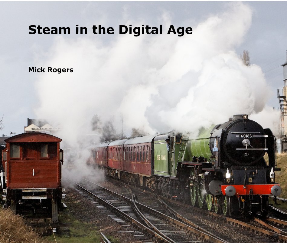 View Steam in the Digital Age by Mick Rogers