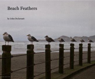 Beach Feathers book cover