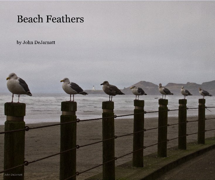 View Beach Feathers by John DeJarnatt